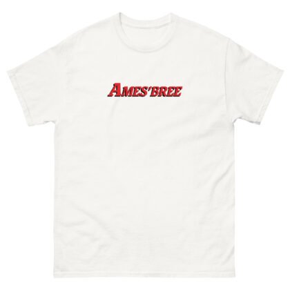 amesbury ma t-shirt amesbree design